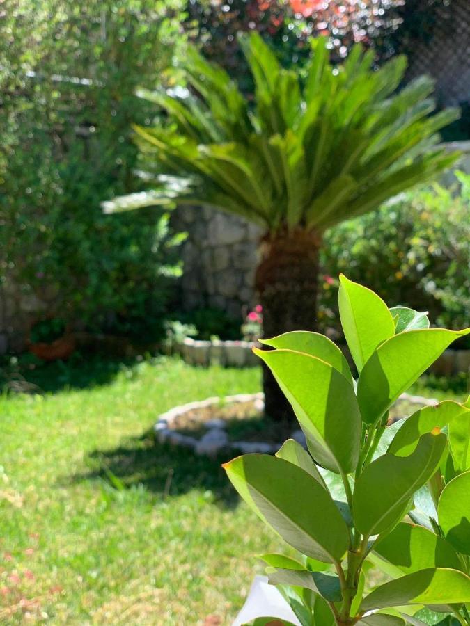 Villa Theosis Nikiana Dış mekan fotoğraf